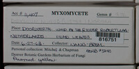 Image Associated With the Occurence